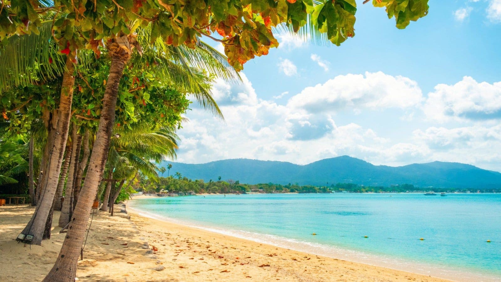 Beach in Koh Samui