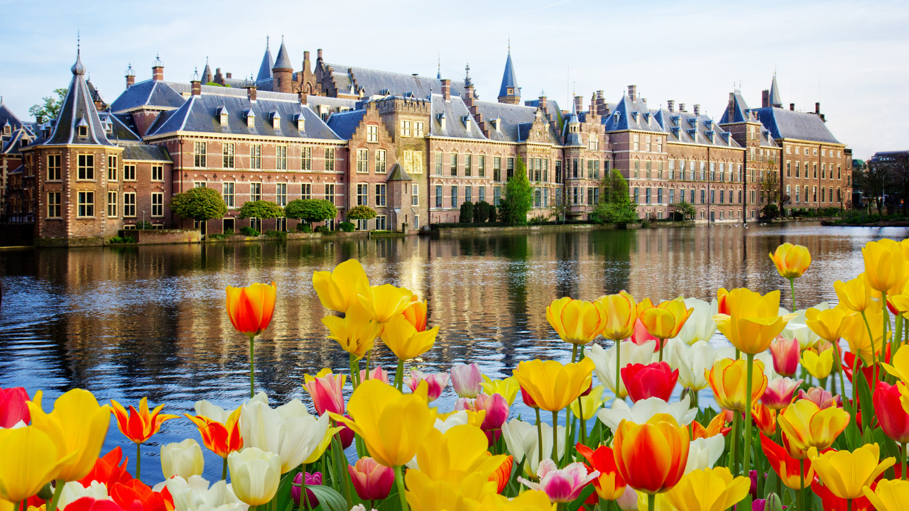 Dutch Waterways and tulip farms